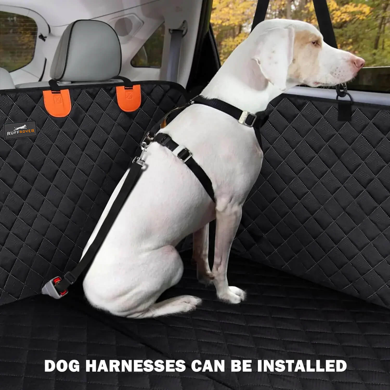 Protector de asiento de coche para perros con base dura + (cama para perros GRATIS)